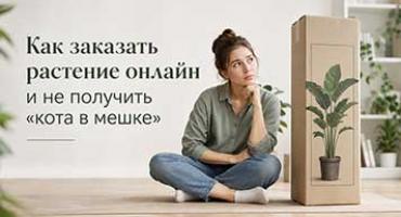 Как заказать растение онлайн и не получить «кота в мешке»