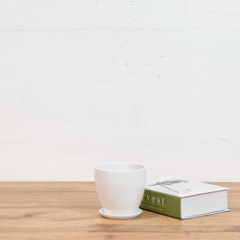 Белый керамический горшок