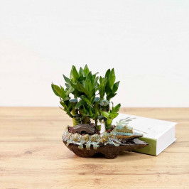 Бамбук лаки Композиция Лодочка D18